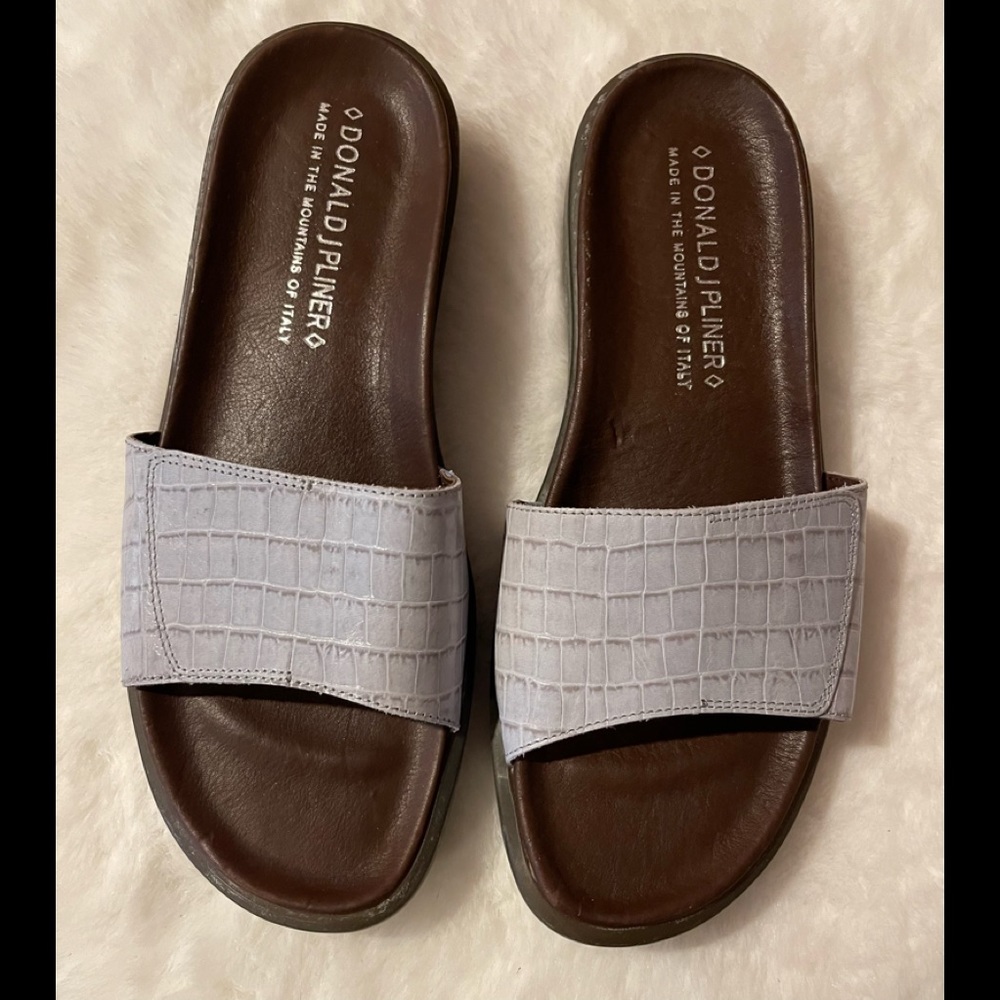 Donald J Pliner Powder Blue and Brown Slide